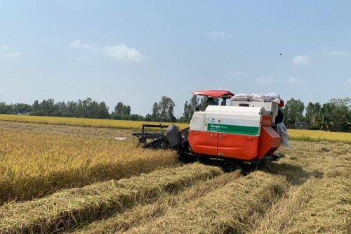 Sản xuất nông nghiệp tiếp tục tăng trưởng