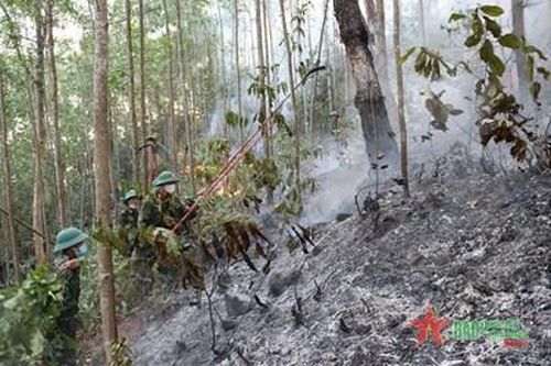 Bộ đội, dân quân tỉnh Thừa Thiên Huế tham gia chữa cháy rừng