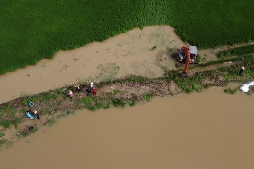 Đắk Lắk: Hơn 2.000 ha lúa nguy cơ bị ngập úng do vỡ đê bao