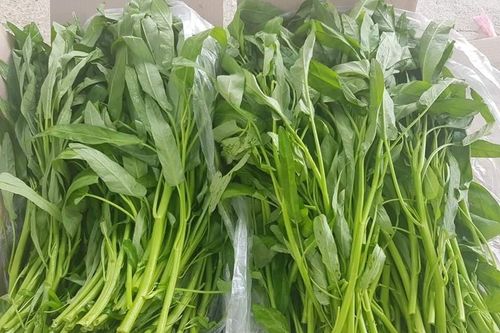 3 đại kỵ khi ăn rau muống mùa hè kẻo mang bệnh vào người
