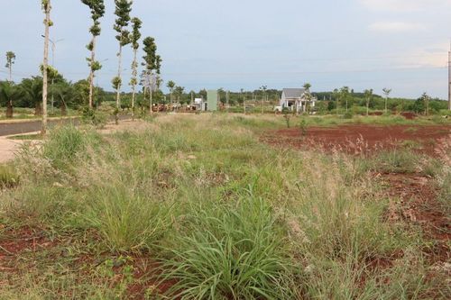 Bình Phước số hóa thông tin đất đai toàn tỉnh trong năm 2023