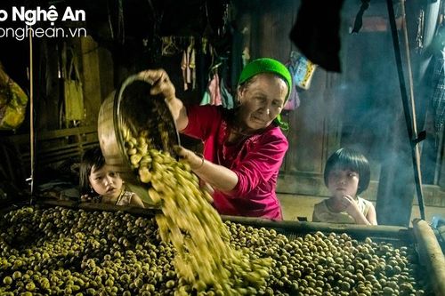 Xã vùng cao Kỳ Sơn vào mùa hái bo bo