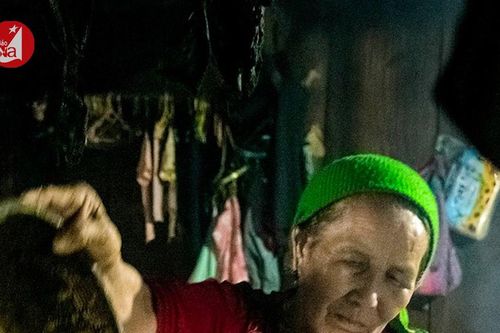 Bo bo Nghệ An vào chính vụ