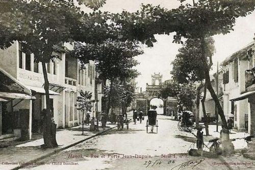 Võng điều em trải chiếu hoa