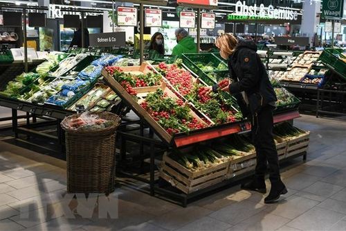 Nền kinh tế Đức đối mặt với nợ công cao kỷ lục và suy thoái