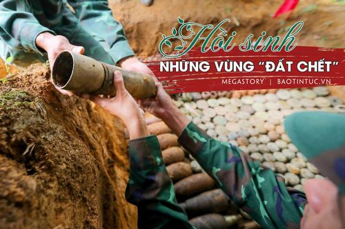 Hồi sinh những vùng 'đất chết'