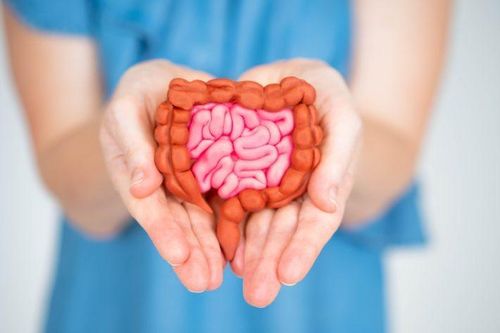 Khi bị polyp đại tràng sẽ có 3 dấu hiệu bất thường, bạn cần đi kiểm tra càng sớm càng tốt
