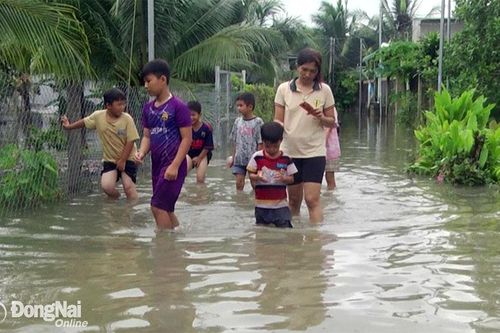 Nhà của 10 hộ dân ở xã Phú Lợi, huyện Định Quán bị ngập do mưa lớn kéo dài
