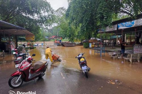Vườn quốc gia Cát Tiên triển khai phòng chống lũ