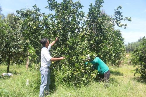 Khánh Vĩnh: Thực hiện đồng bộ các giải pháp giảm nghèo