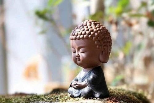 Sự cần thiết của tu tập