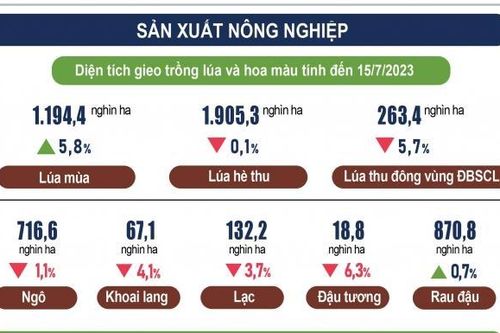Inforgraphics: Sản xuất nông nghiệp 7 tháng năm 2023