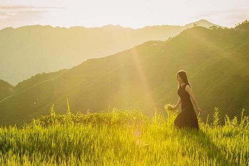 Lung linh Xím Vàng