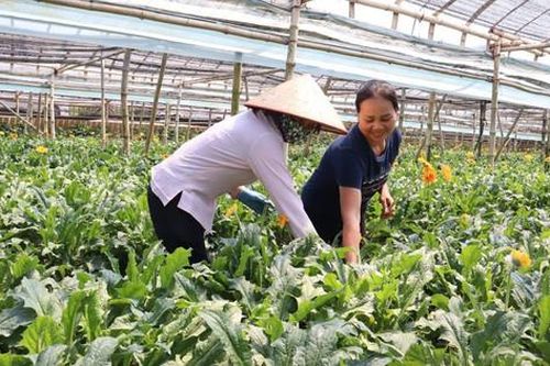 Đan Phượng phát triển vượt bậc sau 15 năm hợp nhất Thủ đô