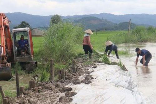 Thời tiết bất thường gây nhiều thiệt hại ở các tỉnh phía Nam