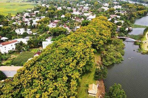 Du lịch xanh ở Quảng Nam