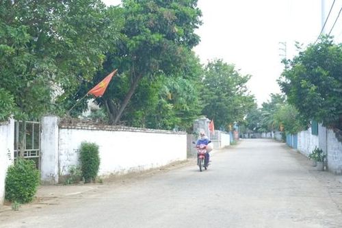 Huyện Ba Vì: Phát triển toàn diện vùng dân tộc miền núi