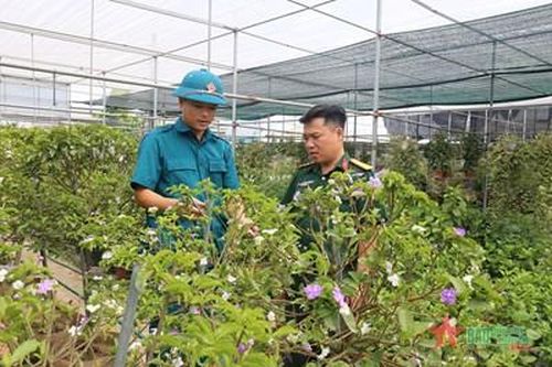 Giúp dân quân ổn định cuộc sống, phát triển kinh tế