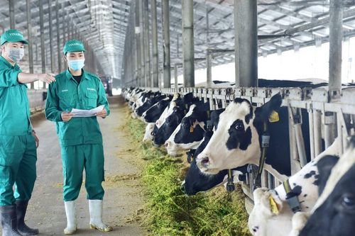 Chế biến sâu để 'đi' xa hơn