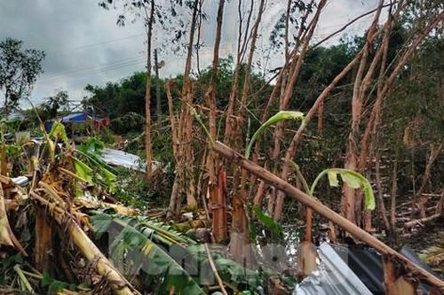 4 người bị thương, 347 căn nhà hư hỏng vì mưa, dông lốc ở Cà Mau
