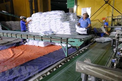 Cổ phiếu của các doanh nghiệp mía đường thiết lập mức đỉnh lịch sử mới