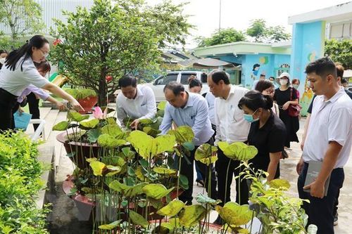 TP.HCM: Sốt xuất huyết gia tăng, xuất hiện nhiều ca bệnh nặng