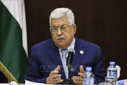 Các phe phái Palestine tổ chức họp hòa giải ở Ai Cập