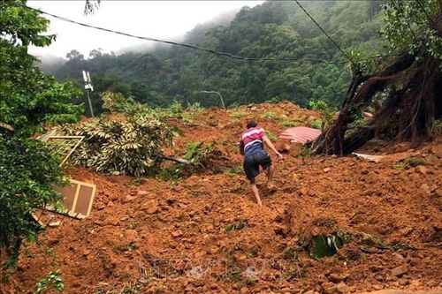 Ý kiến chuyên gia: Mưa lớn kéo dài làm đất đá bị ngậm nước, liên kết yếu gây sạt lở ở Lâm Đồng
