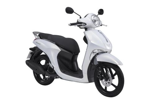 Người mệnh Mộc nên chọn xe máy màu gì?