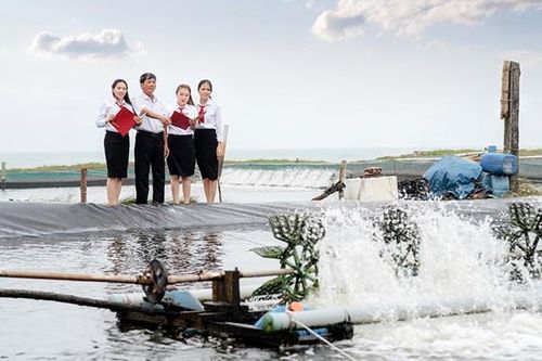 Kịp thời hỗ trợ dòng vốn cho lĩnh vực lâm, thủy sản