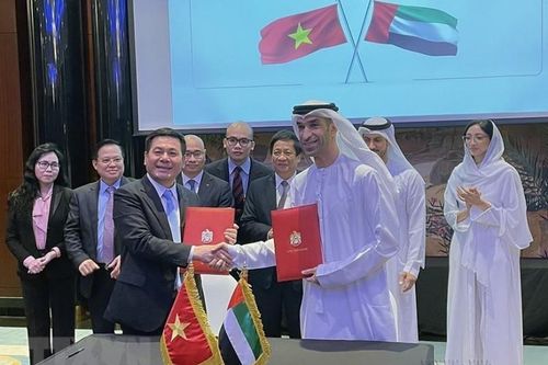Phát huy tiềm năng, thế mạnh trong giai đoạn phát triển mới giữa Việt Nam-UAE