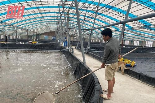 Bảo đảm an toàn vùng nuôi trồng thủy sản trong mùa mưa bão
