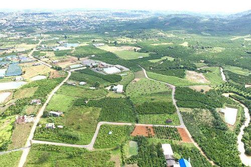 Lâm Đồng cho phép 2 huyện chuyển mục đích sử dụng đất trở lại