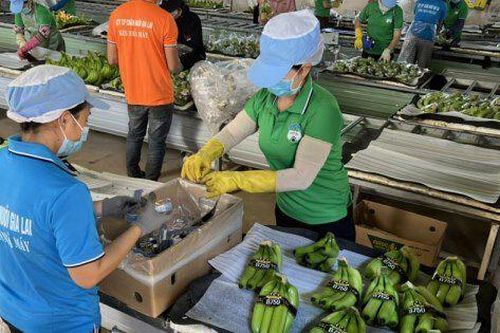 Lãi thuần từ hoạt động kinh doanh quý II âm 163 tỷ, HAGL của 'bầu Đức' vẫn thoát lỗ nhờ lợi nhuận khác