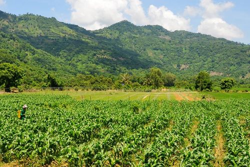 Bảy Núi mùa mưa