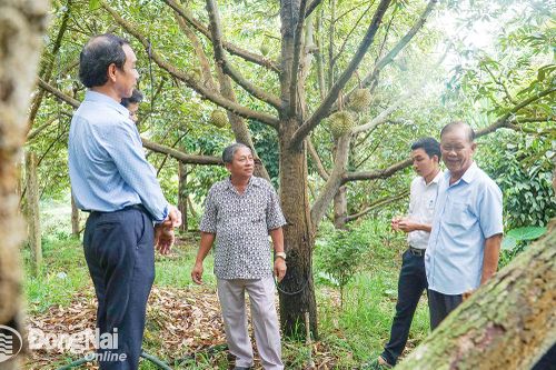 Thành tỷ phú từ phát triển mô hình hợp tác xã hiện đại