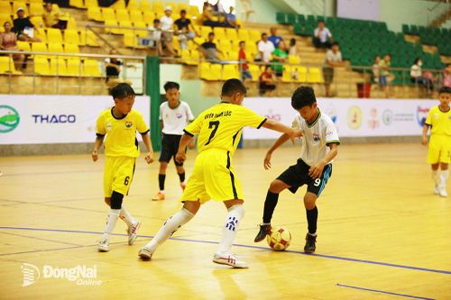 Bảng B: U.11 Tân Phú – U.11 Xuân Lộc: Phố núi lại tỏa sáng
