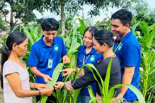 Học kỳ của những trái tim tình nguyện