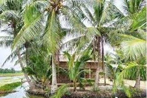 Tìm về nguồn cội