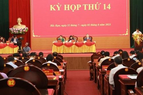 Sản xuất hàng hóa tập trung, mở rộng liên kết sản xuất