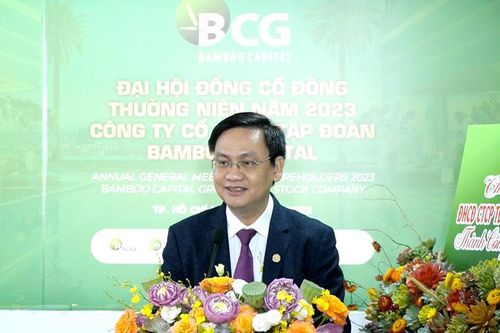Doanh thu bán hàng tăng, vì đâu lợi nhuận Bamboo Capital vẫn giảm sâu?