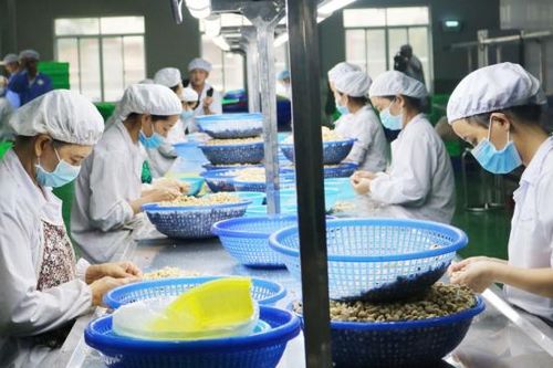 Chủ động xây dựng vùng nguyên liệu để tránh bị động khi nhập khẩu