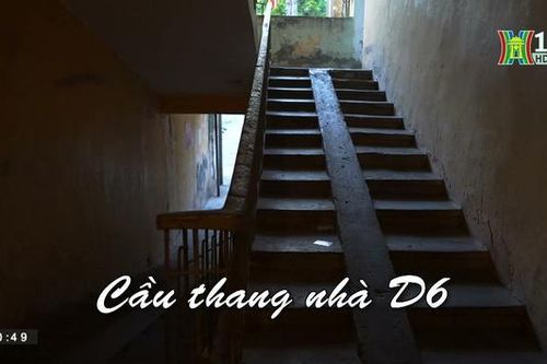Cầu thang nhà D6| Nhịp sống Hà Nội| 31/07/2023