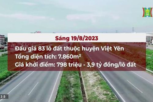Bắc Giang đấu giá 123 lô đất, giá khởi điểm 330 triệu đồng