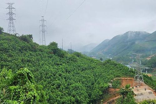 Đóng điện dự án đường dây 220kV mạch kép đấu nối TBA 220kV Bắc Quang