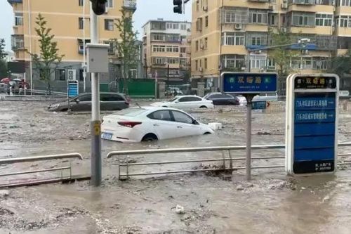 Chủ tịch Trung Quốc kêu gọi hành động khẩn cấp vì mưa lũ