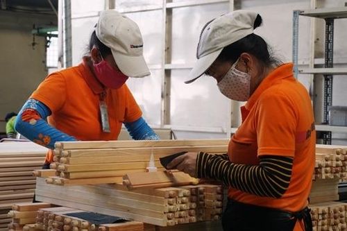 Ngành gỗ khởi sắc