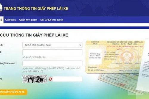 Hướng dẫn cách tra cứu thông tin giấy phép lái xe