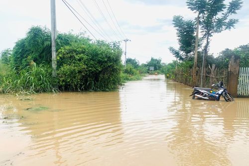 Thiệt hại hơn 1.462ha cây trồng do ảnh hưởng của thiên tai trên địa bàn biên giới huyện Ea Súp
