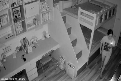 Nữ 'đạo chích' phi tang Camera vẫn không thoát